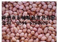 供应花生米.黄豆